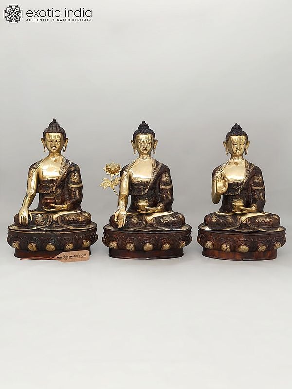 exotic india 33" Large Set of Three Buddha - Buddha in Bhumisparsha Mudra Medicine Buddha and Buddha in Vitark Mudra | Brass Statues 
