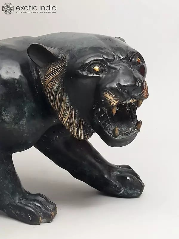 Exotic India 33" The Watchful Hunter: Black Panther Statue In Brass | Home Decor 