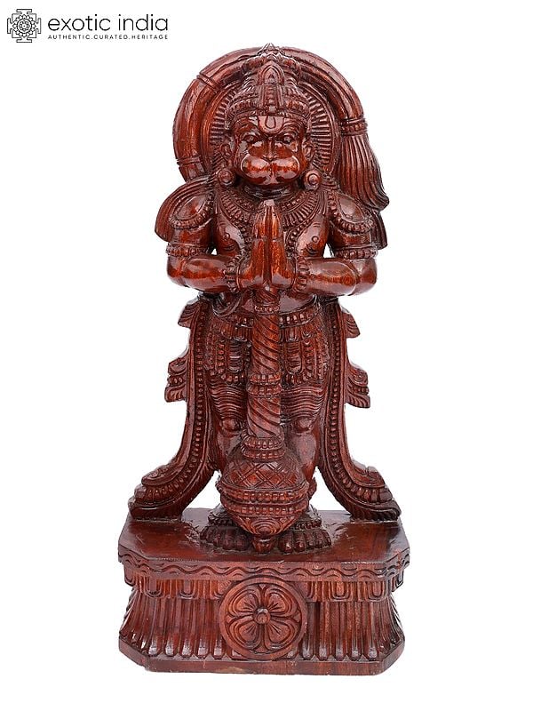 exotic india 36" Large Standing Lord Hanuman in Namaskar Gesture | Wood Carving 