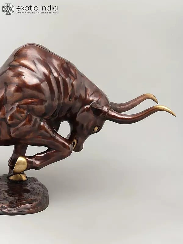 Exotic India 38" Attacking Angry Bull | Home Decor | Brass Statue 
