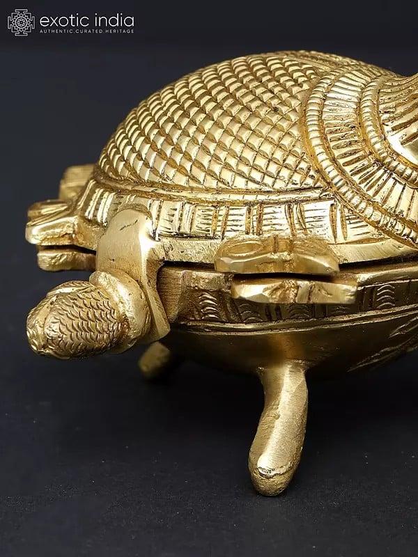Exotic India 4" Feng Shui Tortoise Box In Brass | Handmade | Made In India 