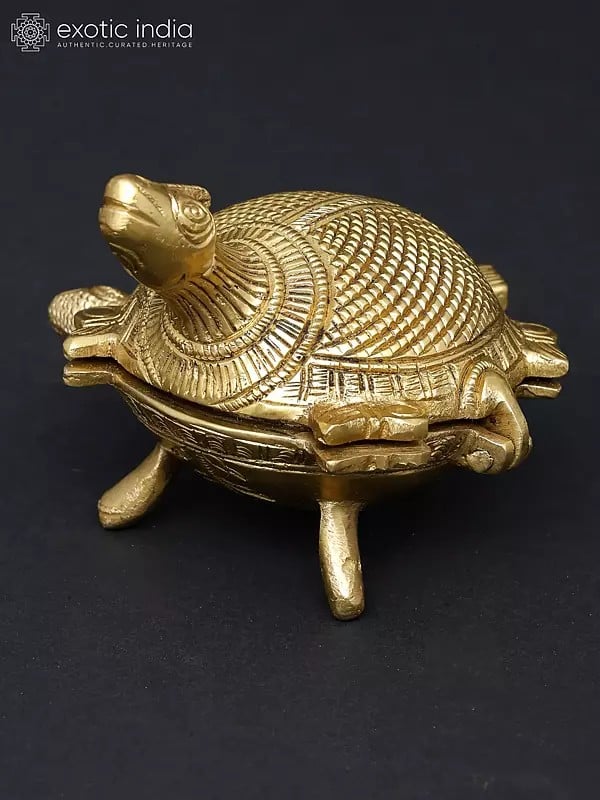 Exotic India 4" Feng Shui Tortoise Box In Brass | Handmade | Made In India 