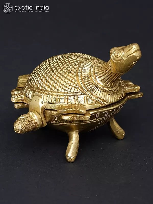 exotic india 4" Feng Shui Tortoise Box in Brass | Handmade | Made in India 