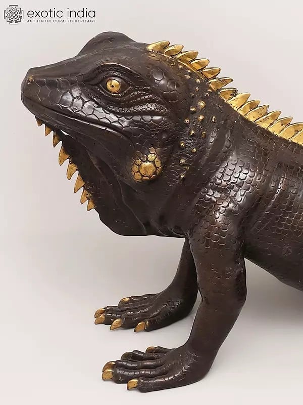 Exotic India 41" Life-Size Golden-Spiked Brass Iguana Sculpture - Realistic Reptile Art | Home Decor 