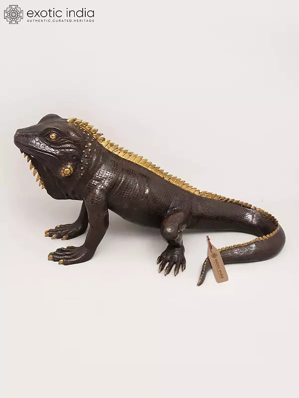 exotic india 41" Life-Size Golden-Spiked Brass Iguana Sculpture - Realistic Reptile Art | Home Decor 