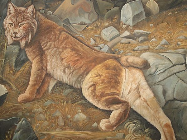 Exotic India 41" Wild Cat Painting With Vintage Wooden Frame | Wall Hanging 