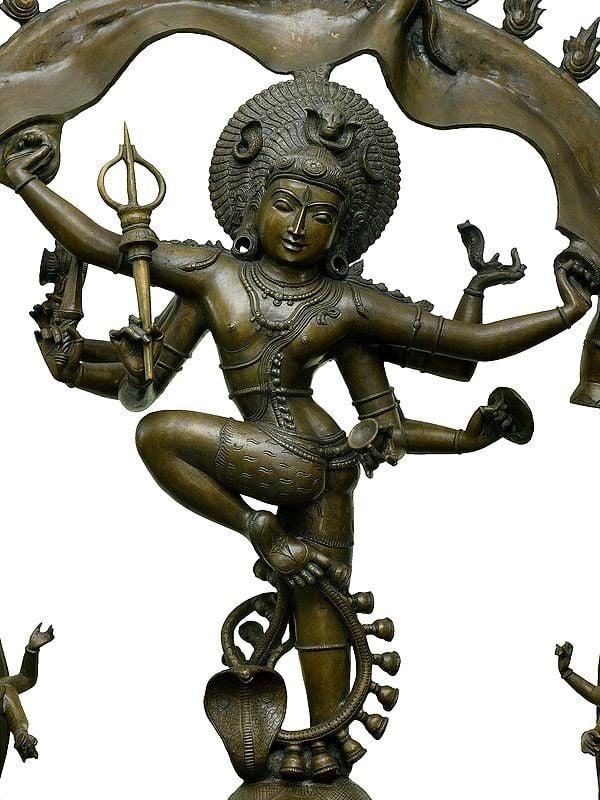 Exotic India 48" Large Shiva Gaja-Samhara-Murthy | Madhuchista Vidhana (Lost-Wax) | Panchaloha Bronze From Swamimalai 
