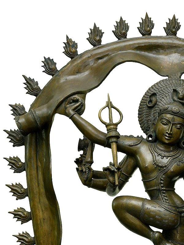 Exotic India 48" Large Shiva Gaja-Samhara-Murthy | Madhuchista Vidhana (Lost-Wax) | Panchaloha Bronze From Swamimalai 