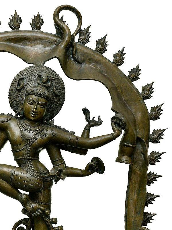 Exotic India 48" Large Shiva Gaja-Samhara-Murthy | Madhuchista Vidhana (Lost-Wax) | Panchaloha Bronze From Swamimalai 