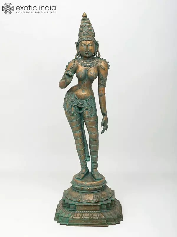 exotic india 48" Large Standing Devi Uma (Goddess Parvati) | Bronze Sculpture 