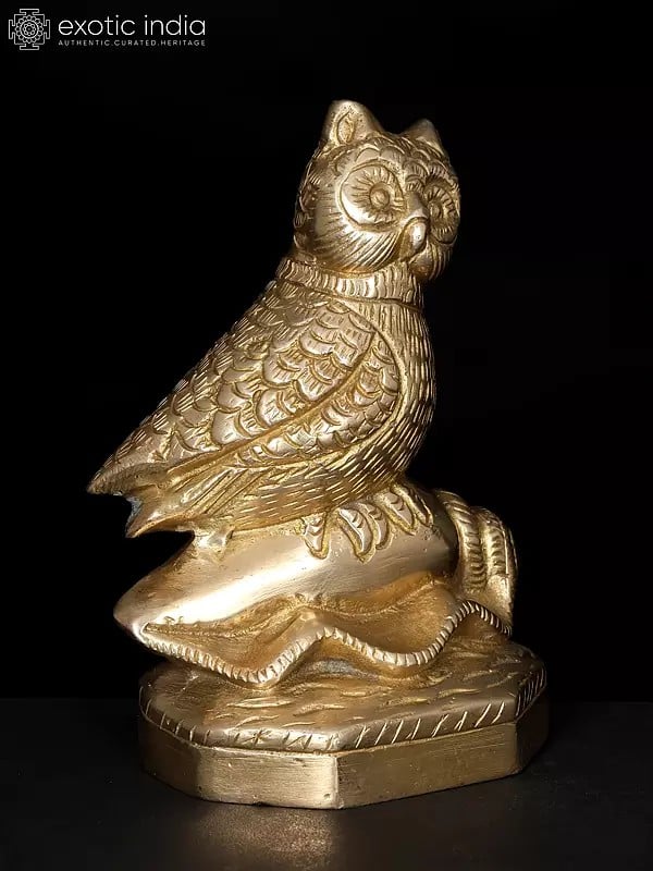 Exotic India 5" Decorative Brass Owl On Conch | Table Decor 