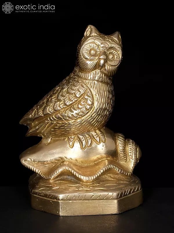 exotic india 5" Decorative Brass Owl on Conch | Table Decor 