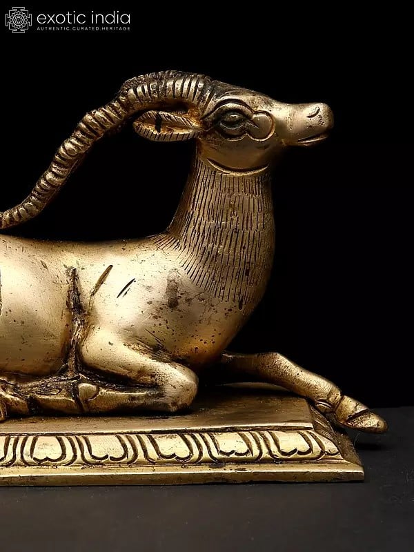 Exotic India 5" Small Decorative Brass Deer Statue Seated On Pedestal