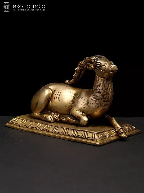 Exotic India 5" Small Decorative Brass Deer Statue Seated On Pedestal