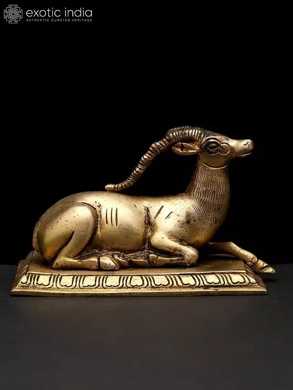 exotic india 5" Small Decorative Brass Deer Statue Seated on Pedestal