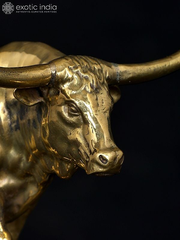 Exotic India 5" Small Superfine Angry Bull | Brass Statue 