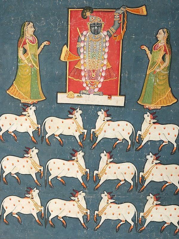 Exotic India 54" Framed Gopashtami - Festival Of Cows Pichhwai | Vintage Painting 