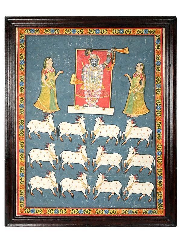 exotic india 54" Framed Gopashtami - Festival of Cows Pichhwai | Vintage Painting 
