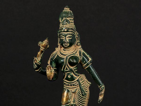 Exotic India 6" Brass Ardhanarishvara Sculpture (Shiva Shakti) | Handmade | Made In India 