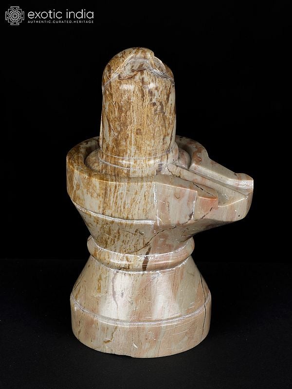 exotic india 6" Hand Carved Shiva Lingam with Serpent with Bared Fangs | Made In Banaras 