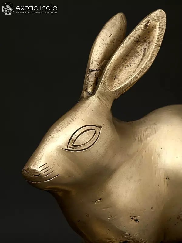Exotic India 6" Small Decorative Rabbit Figurine | Brass Statue | Table Decor 