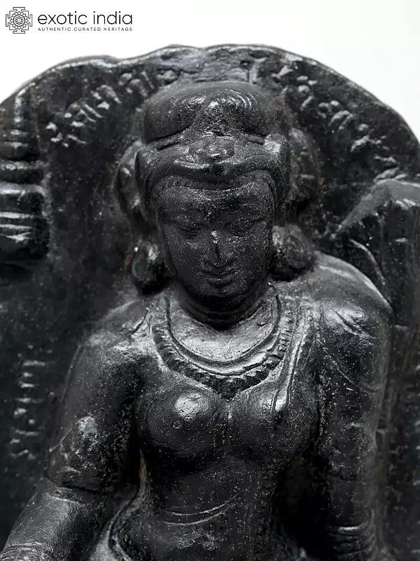 Exotic India 7" Tibetan Buddhist Goddess Tara | Replica Statue Of Indian Museum Kolkata 