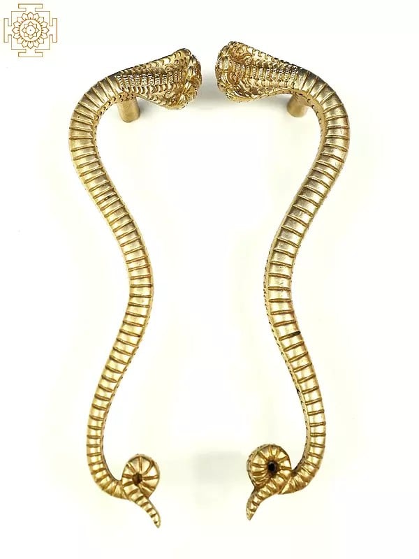 exotic india 8" Brass Pair of Snake Design Door Handles 
