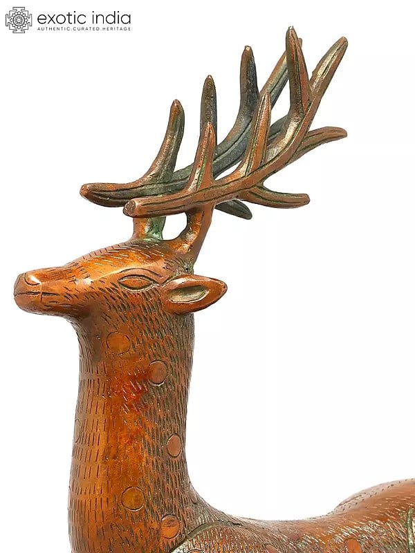 Exotic India 8" Decorative Brass Deer | Table Decor Figurine 