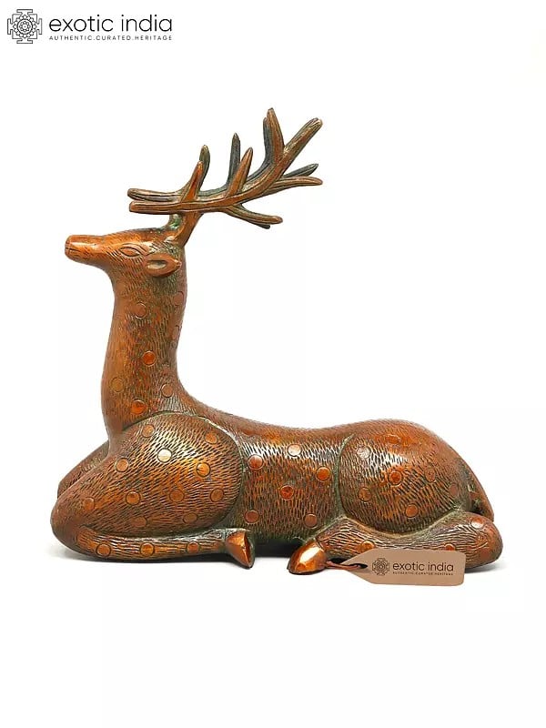 exotic india 8" Decorative Brass Deer | Table Decor Figurine 