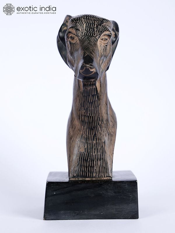 Exotic India 8" Greyhound Dog Bust | Table Decor Gifts 