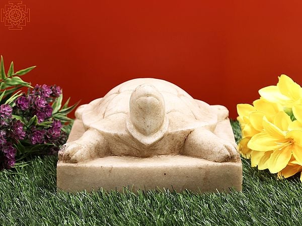 Exotic India 8" Makrana White Marble Chisel-hammer Carved Vastu Tortoise 