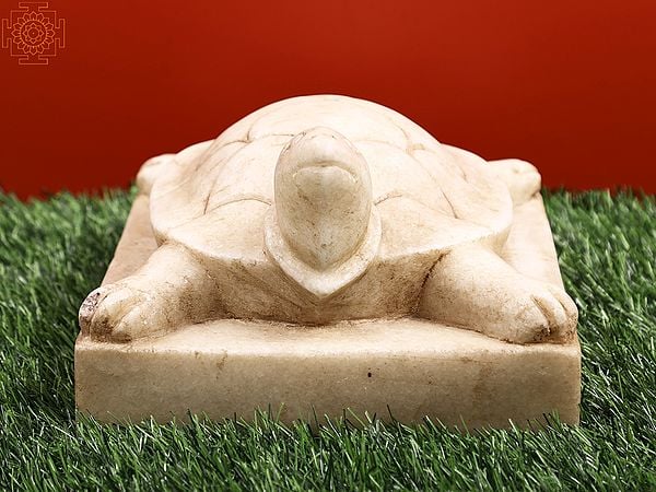 Exotic India 8" Makrana White Marble Chisel-hammer Carved Vastu Tortoise 