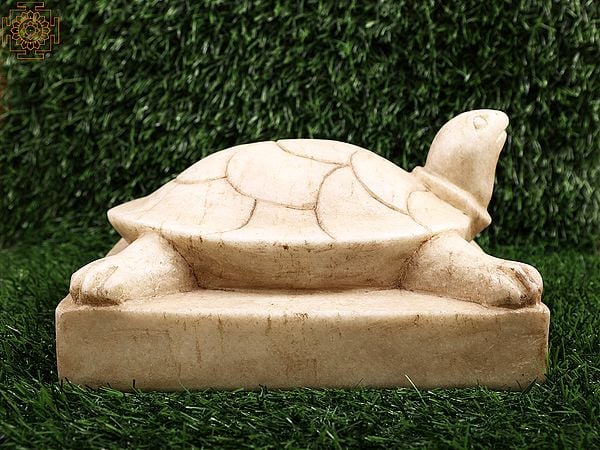 Exotic India 8" Makrana White Marble Chisel-hammer Carved Vastu Tortoise 