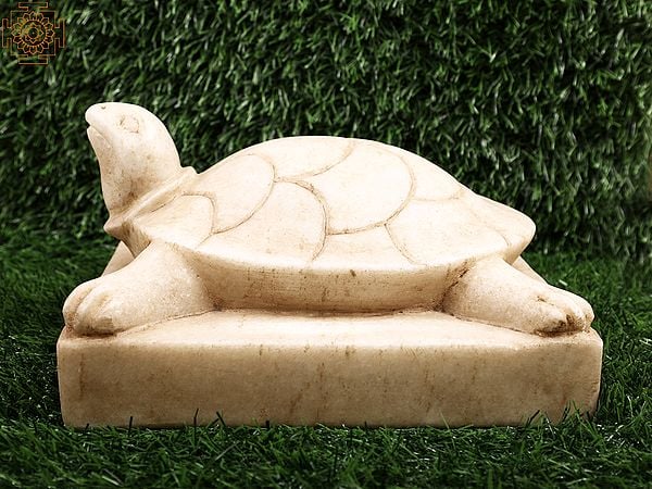 exotic india 8" Makrana White Marble Chisel-hammer Carved Vastu Tortoise
