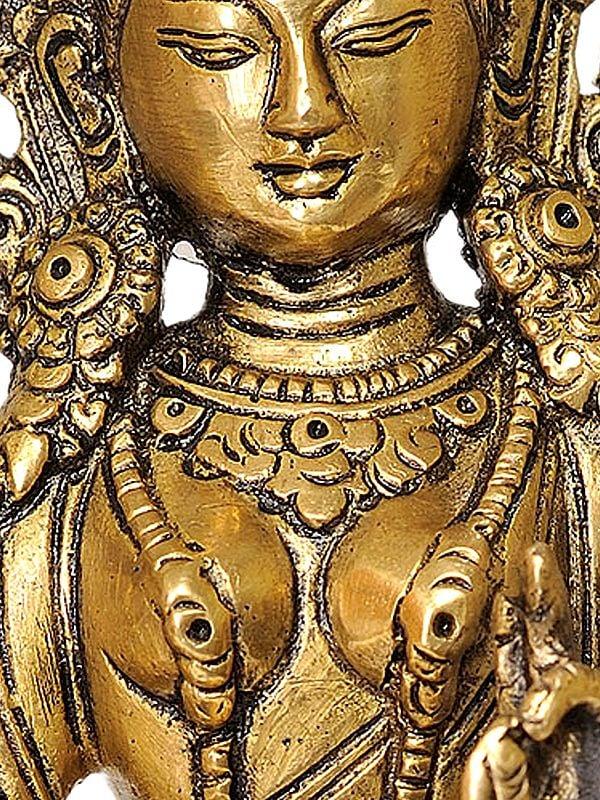 Exotic India 8" Tibetan Buddhist Goddess Green Tara Brass Statue | Handmade | Made In India 