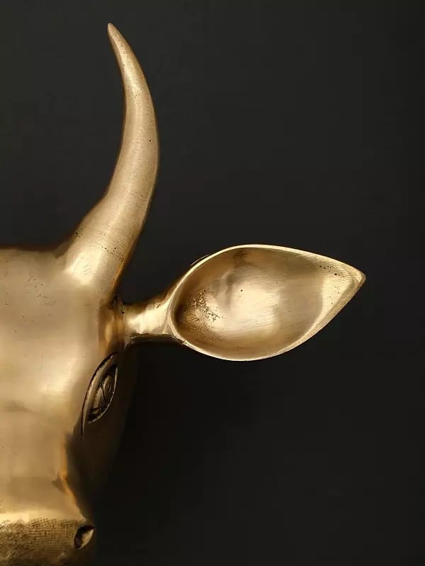 Exotic India 9" Brass Wall Hanging Cow Head | Home Decor