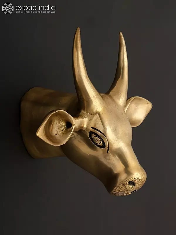 exotic india 9" Brass Wall Hanging Cow Head | Home Decor 