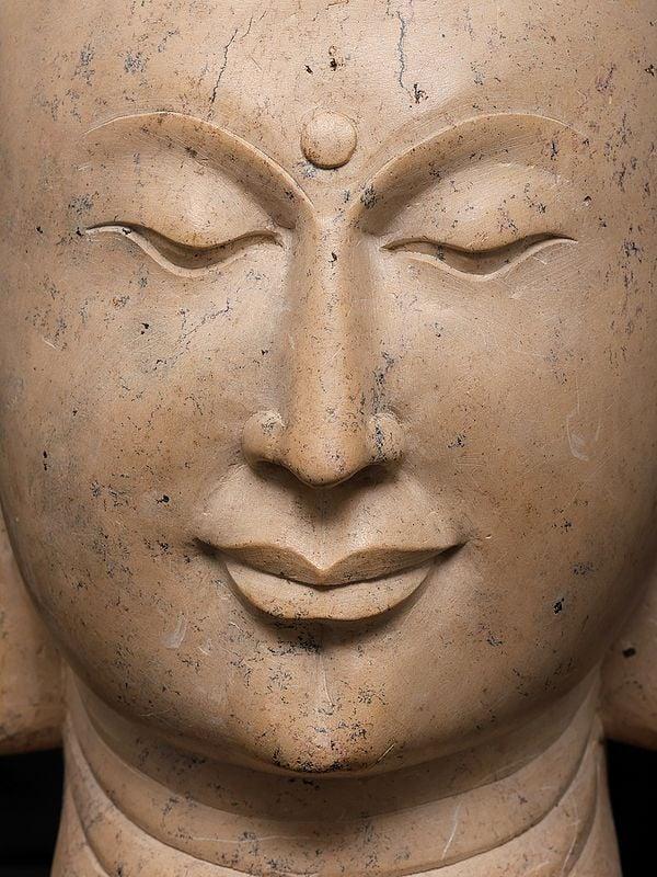 Exotic India 9" Meditating Buddha Head | Sand Stone Statue | Made In Orissa 