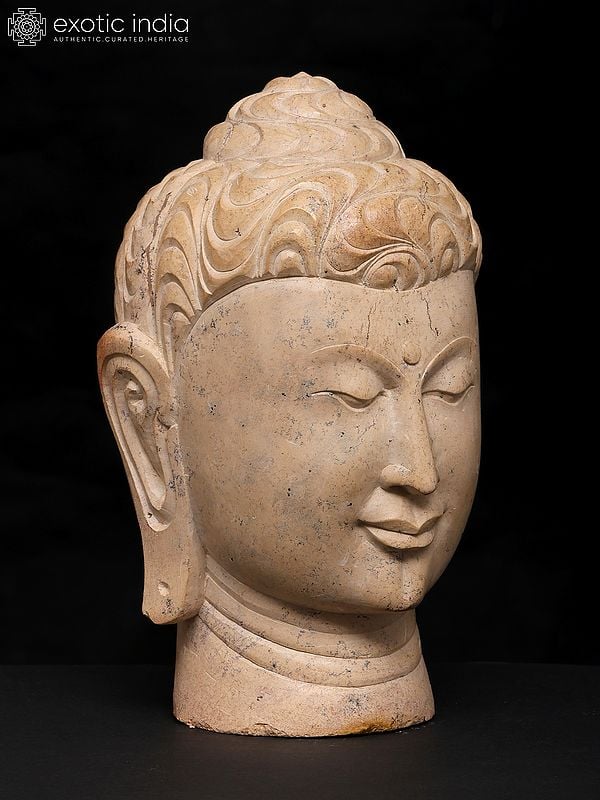 Exotic India 9" Meditating Buddha Head | Sand Stone Statue | Made In Orissa 
