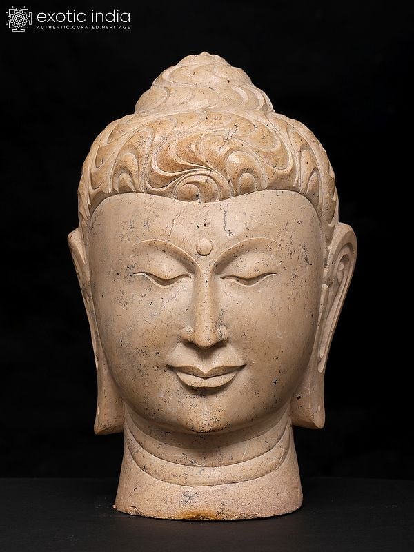 exotic india 9" Meditating Buddha Head | Sand Stone Statue | Made in Orissa 
