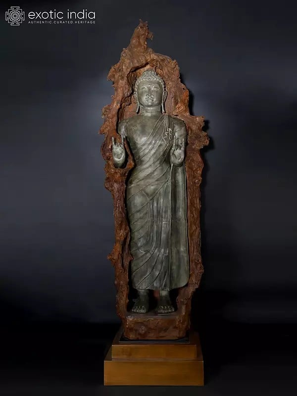 exotic india 92" Super Large Size Standing Lord Buddha in Karana Mudra Encased in Natural Wood | Balinese Brass Sculpture 