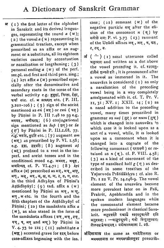 Exotic India A Dictionary Of Sanskrit Grammar (Gaekwad's Oriental Series No. 134) 