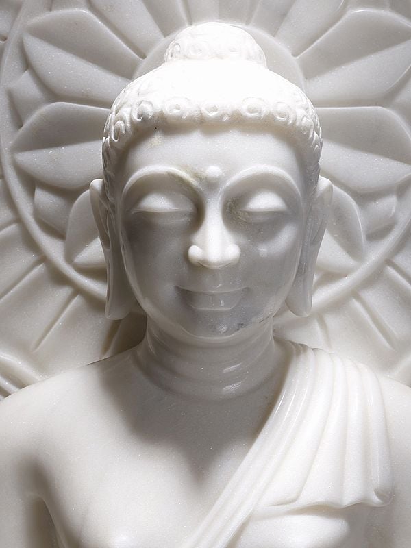 Exotic India Almost As If The Buddha Was Consecrated With Pure Milk 