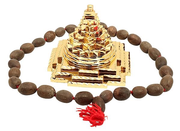 exotic india Auspicious Shri Yantra with Beads Japa Mala 