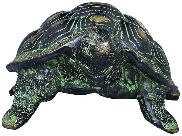 Exotic India Charming Golden Shades Brass Vastu Tortoise Statue