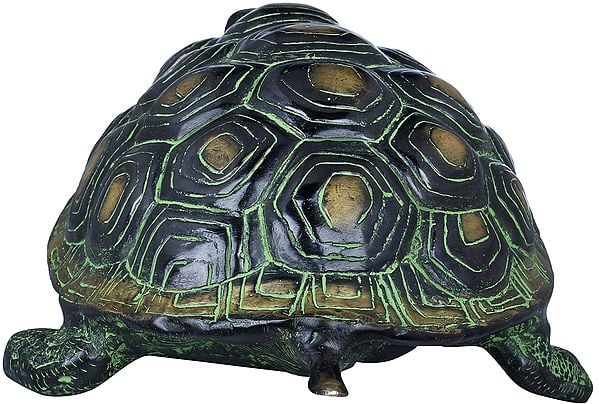 Exotic India Charming Golden Shades Brass Vastu Tortoise Statue