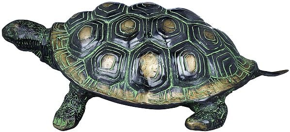 Exotic India Charming Golden Shades Brass Vastu Tortoise Statue