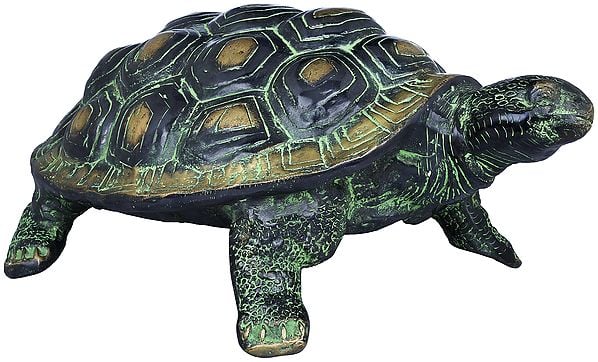 exotic india Charming Golden Shades Brass Vastu Tortoise Statue 