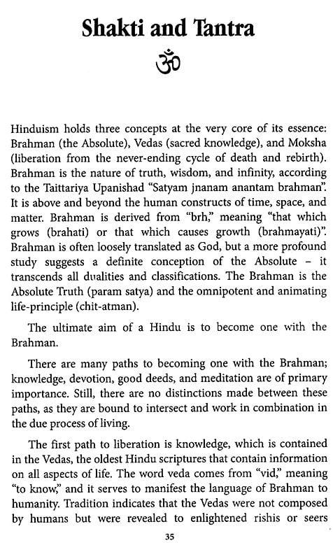 Exotic India Dasa Mahavidya (The Ten Great Tantric Wisdom Goddesses) 