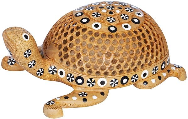 exotic india Dome-shaped Charming Wooden Vastu Tortoise 